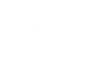 luigi